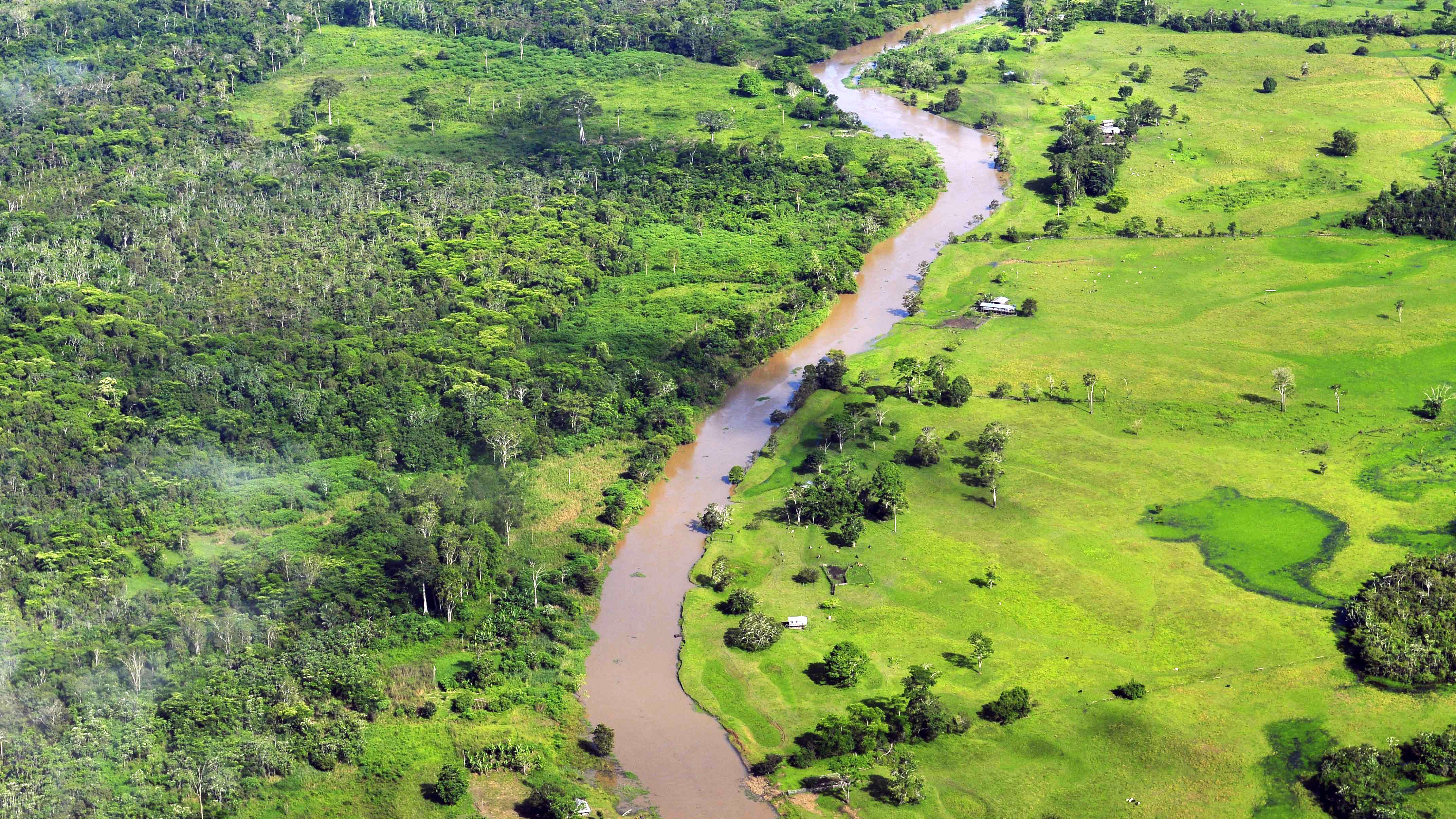 Área desmatada da floresta amazônica próxima a Manaus (AM). (Foto: Neil Palmer-CIAT/Flickr)