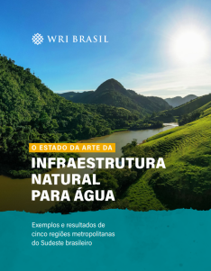 Capar do relatório "Estado da Arte da Infraestrutura Natural para Água".