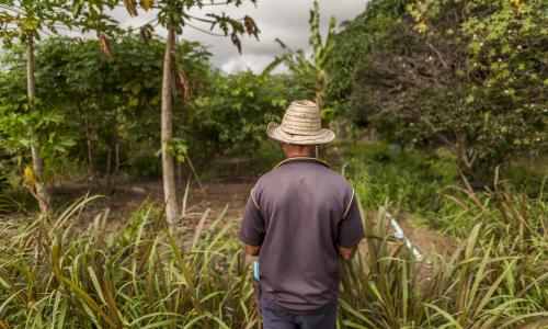 Homem em floresta na Caatinga
