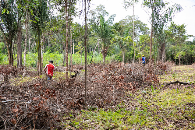 <p>Produtores preparam plantio de Sistema Agroflorestal em Juruti (Foto: Joana Oliveira/WRI Brasil)</p>