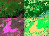 Nova coleção de mapas do MapBiomas mostra imagens de satélite sobre a cobertura vegetal e o uso do solo no Brasil. Na imagem, o Pantanal (Fonte: MapBiomas)