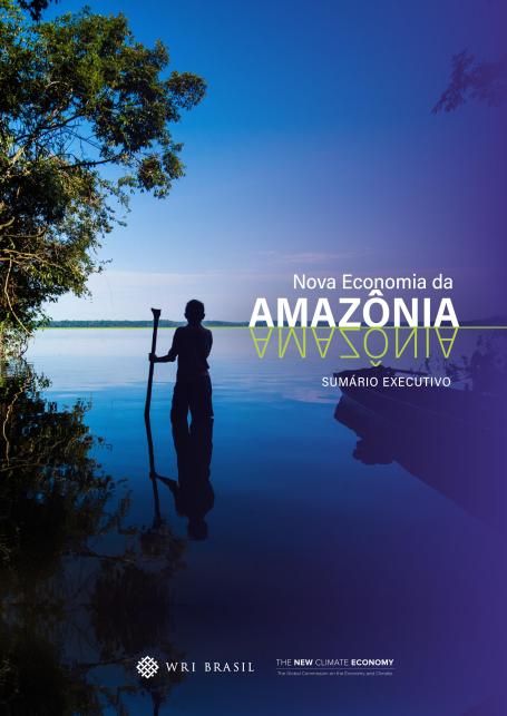 capa nova economia da amazônia