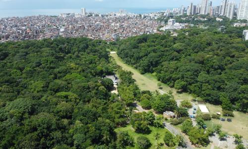 foto aérea de Salvador, com parque urbano, edificações precárias e prédios