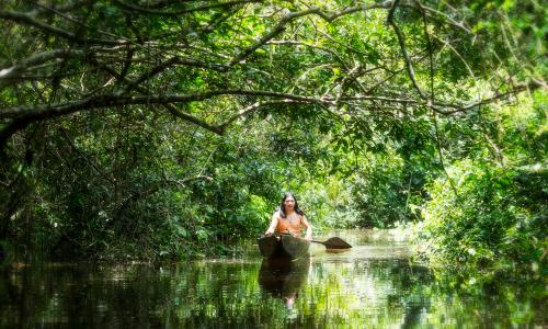 indígena navengando em barco em meio à floresta amazônica