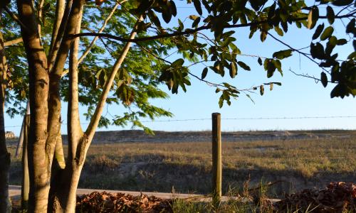 Cerca separa floresta secundária de área de pasto em propriedade no norte do Espírito Santo (Foto: Bruno Calixto/WRIBrasil)