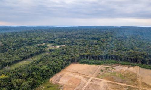 Imagem aérea de desmatamento na Amazônia 