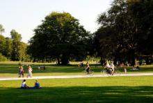 imagem de parque e espaços verdes públicos