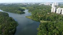 imagem aérea de parque, corpo d'água e cidade