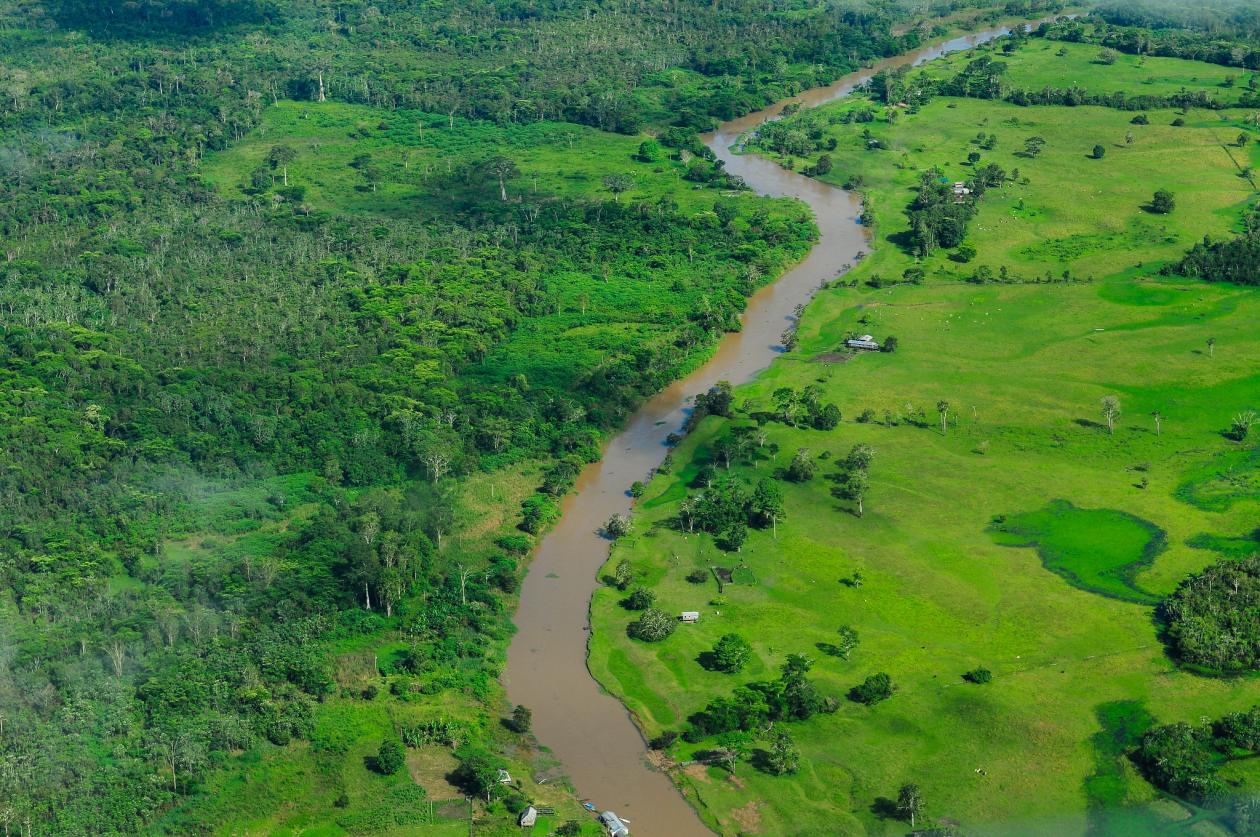 <p>Uma vista aérea da floresta amazônica</p>