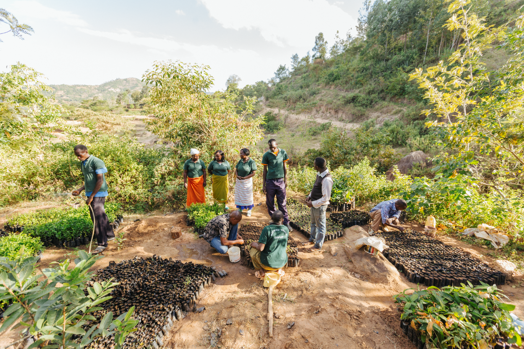 Jovens plantam árvores no Quênia