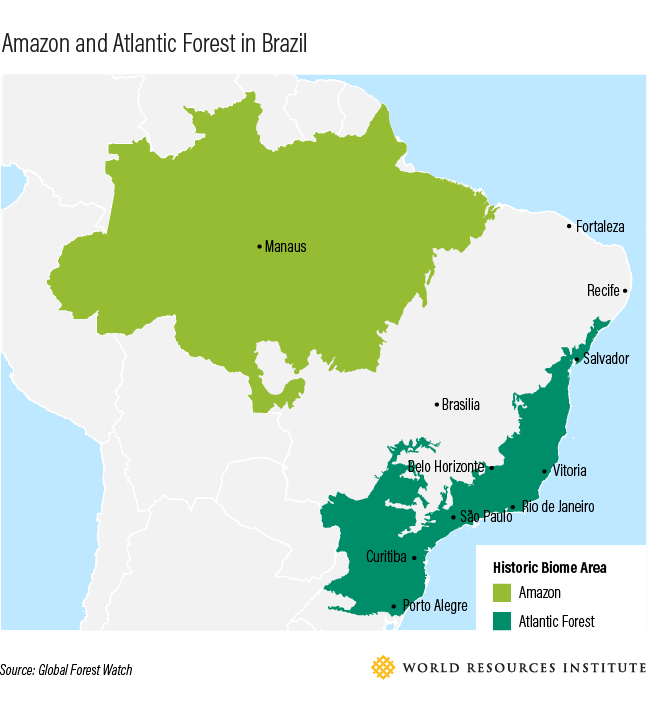 <p>Mapa floresta amazônica e floresta atlântica no Brasil</p>