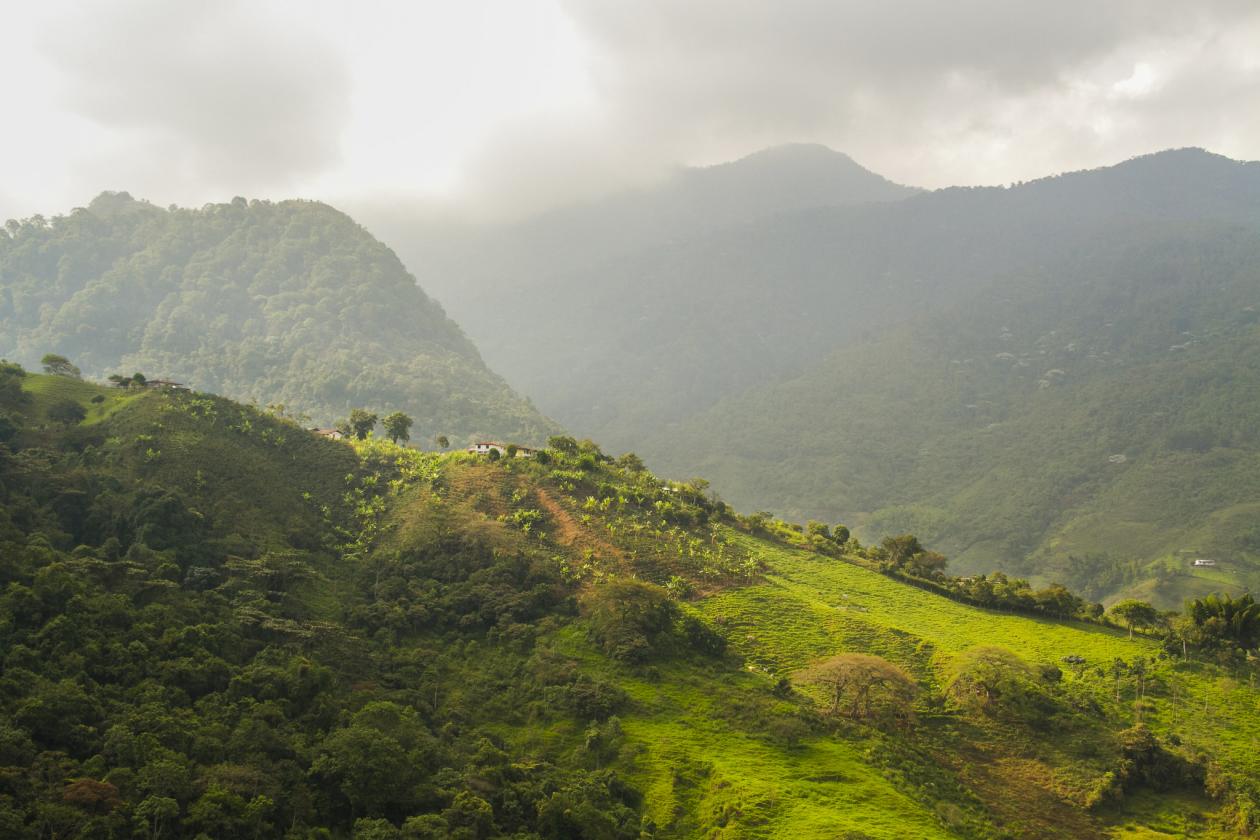<p>imagem de área florestas em Cali, na Colômbia</p>