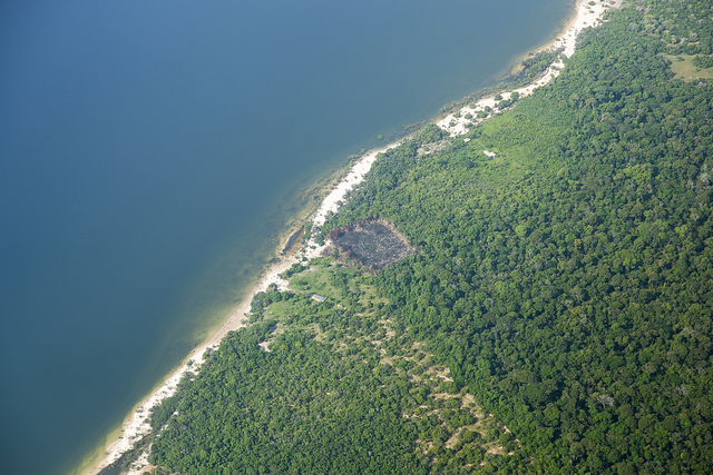 <p>Imagem aérea da floresta amazônica em Juruti (PA). No centro da imagem, é possível ver um quadrado com floresta queimada, a coivara. (Foto: Joana Oliveira/WRI Brasil)</p>