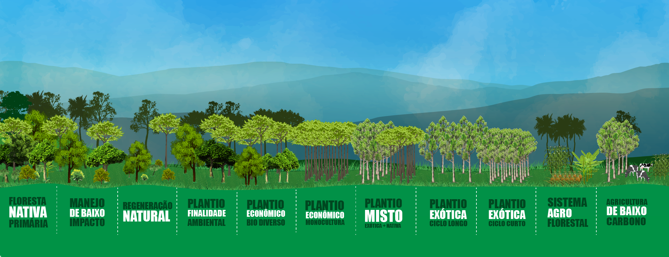 <p>Tipologias do contínuo florestal estudadas pelo VERENA</p>