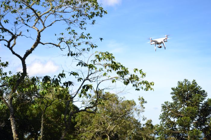 <p>Drone sobrevoa área de floresta</p>