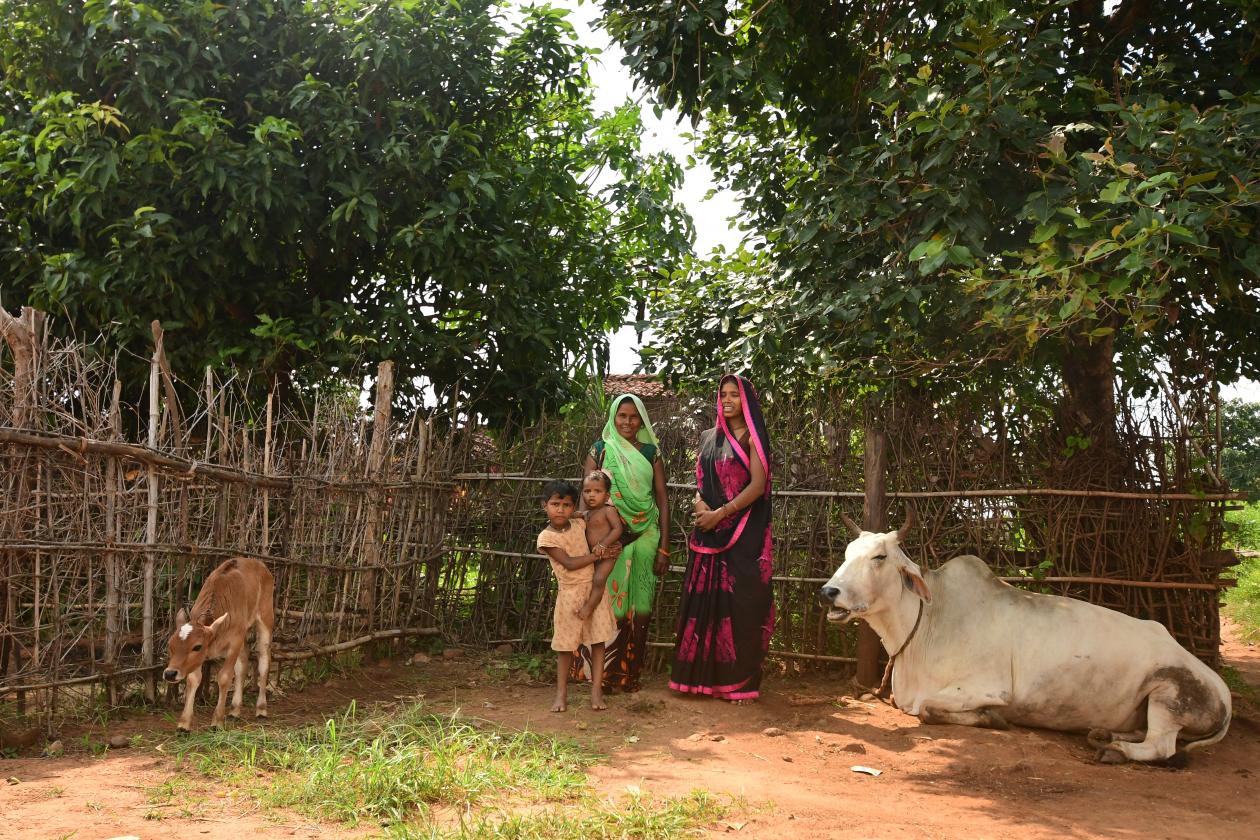 <p>Foto de agricultores na índia, na região de sidhi</p>