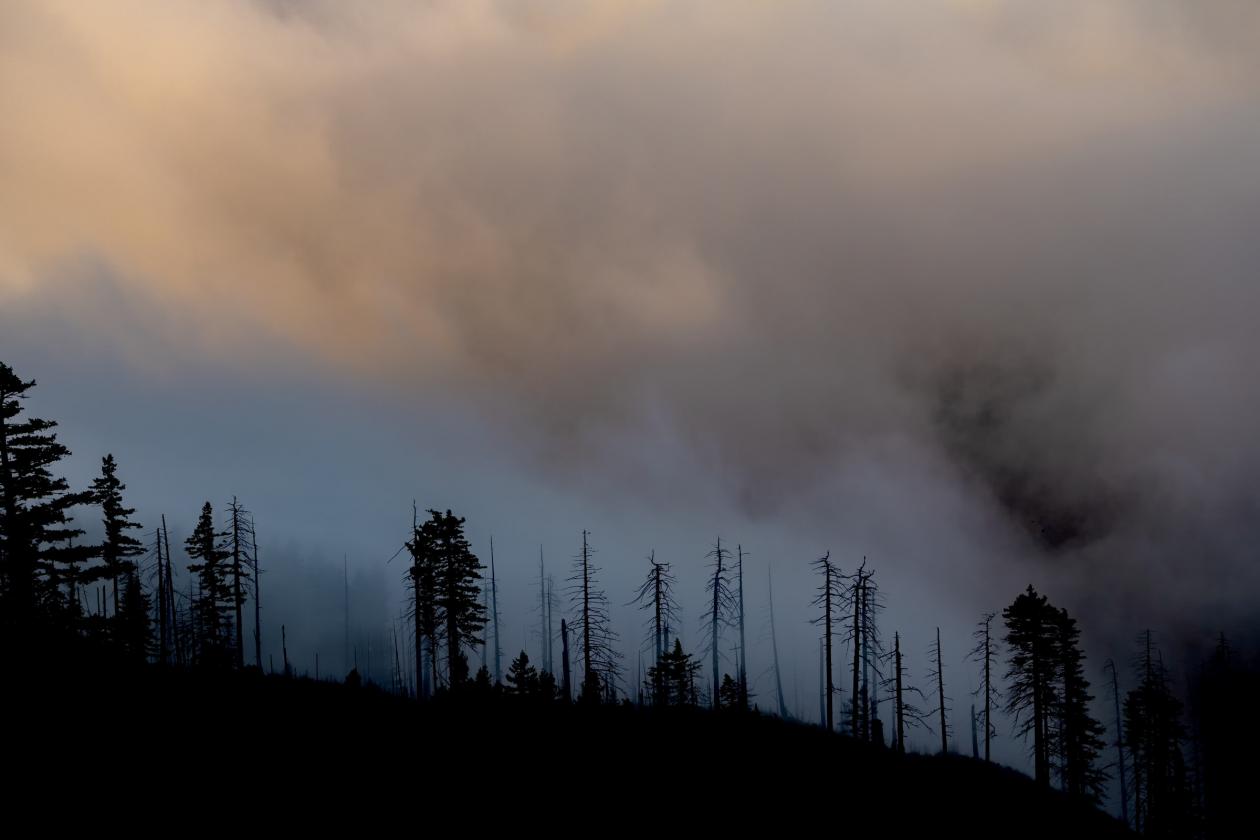 <p>Incêndio florestal em Oregon, nos Estados Unidos, em 2021</p>
