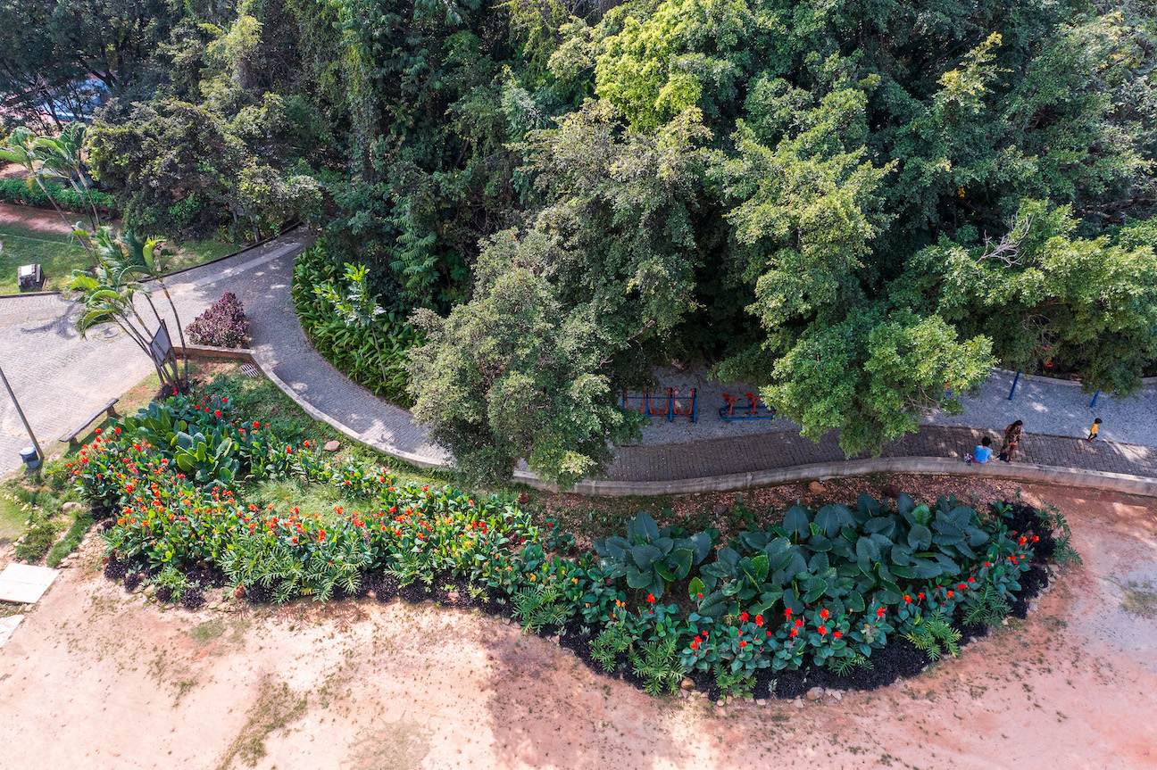 <p>imagem aérea de parque com jardim de chuva, canteiro preparado para armazenar água da chuva</p>