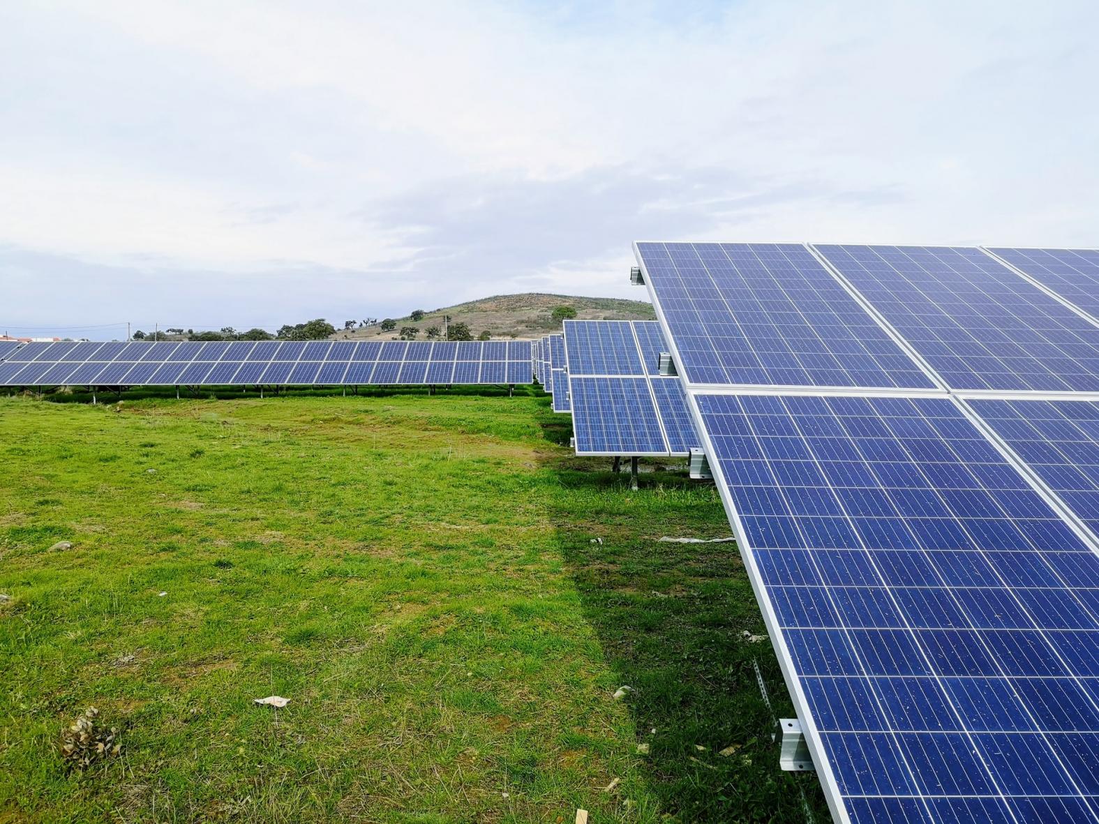 <p>painéis solares</p>“></p>



<p>Painéis solares em Portugal. Empresas podem fazer a transição para fontes renováveis, gerando reduções de emissões significativas e essenciais para um mundo de zero emissões líquidas. (Foto: <a href=