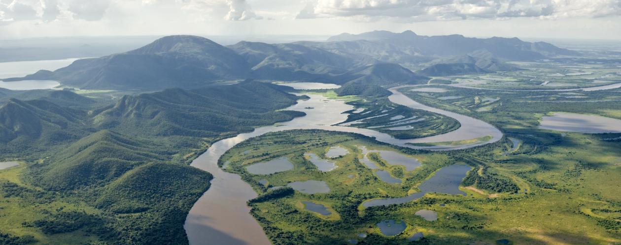 <p>imagem do pantanal no Brasil</p>