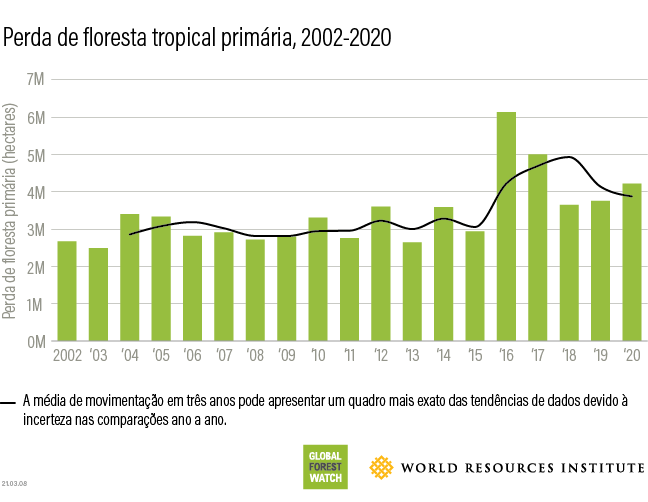perda de cobertura florestal primária