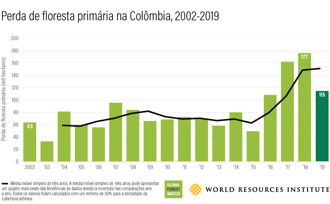 Gráfico de perda de cobertura florestal na Colômbia