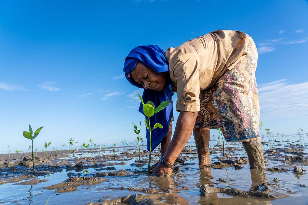 <p>imagem de pessoas sentadas em um parque</p>“></p>



<p>Plantando manguezais no Timor-Leste. Políticas sólidas de igualdade de gênero e antidiscriminação são essenciais para garantir que as comunidades marginalizadas tenham acesso a soluções inteligentes para o clima e seus benefícios (Foto: Yuichi Ishida/PNUD Timor-Leste)</p>



<h3>3. Envolver os grupos marginalizados</h3>



<p>A ação climática justa depende da inclusão das vozes de grupos marginalizados nos processos de tomada de decisão e, sempre que possível, de permitir que façam escolhas em relação às medidas que afetam suas vidas. Três principais obstáculos aparecem entre os setores:</p>



<ul><li>abordagem de cima para baixo que favorece a opinião de “especialistas” e desconsidera o conhecimento local;</li><li>abordagem que ignora estruturas de poder e usa processos de consulta padrão (business as usual), desconsiderando assimetrias de poder;</li><li>abordagem “tamanho único” que não considera limitações e necessidades específicas de grupos desfavorecidos no que diz respeito ao acesso à tomada de decisão (incluindo a pobreza digital).</li></ul>



<p>Algumas inovações democráticas ajudam a empoderar aqueles cujas vozes costumam ser ignoradas no planejamento de políticas climáticas. No Senegal, em Gana e Uganda, por exemplo, <a href=