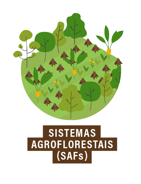 ícone representando um sistema agroflorestal