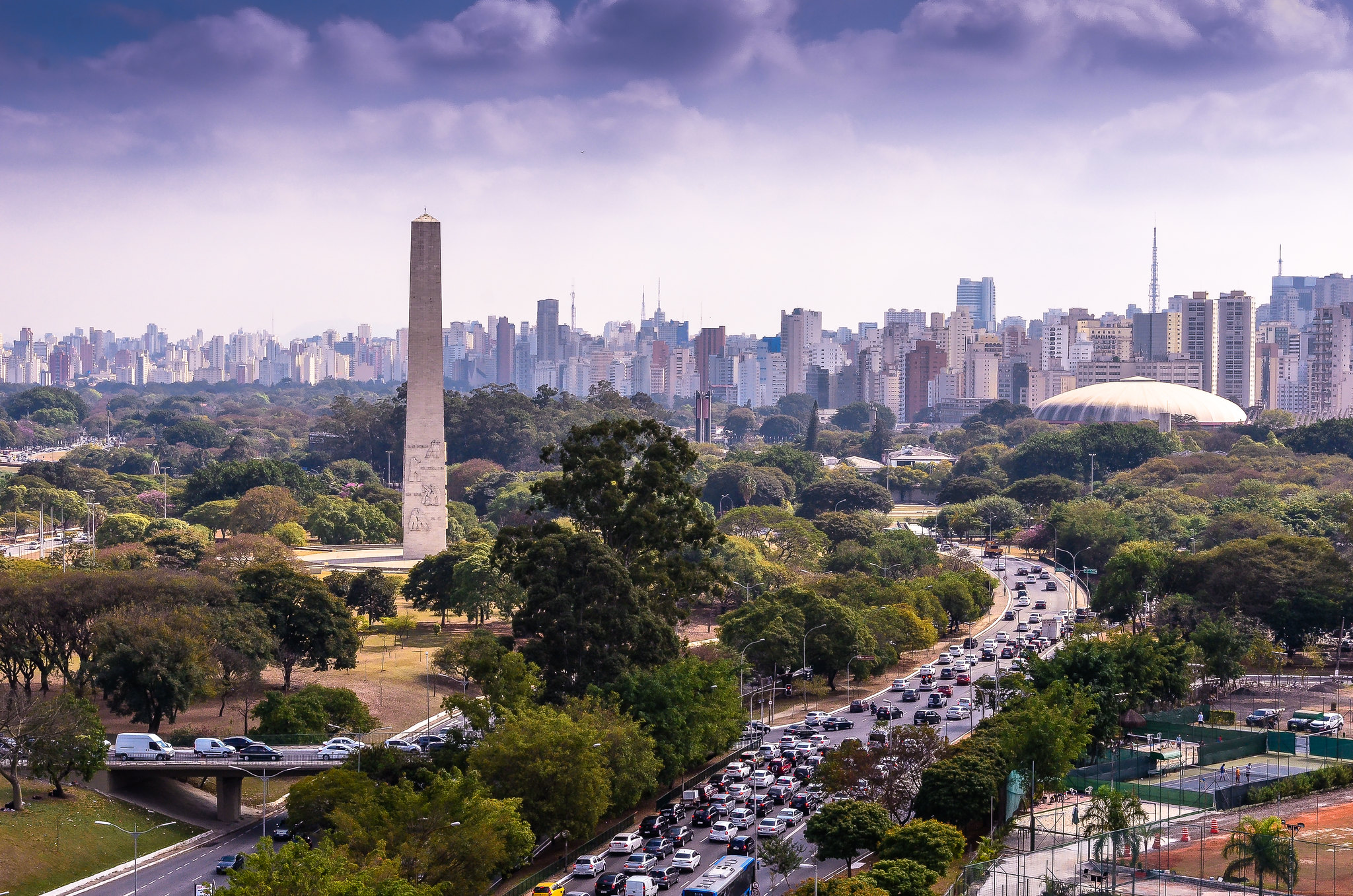 <p>Parque Ibirapuera e a cidade de São Paulo no fundo</p>